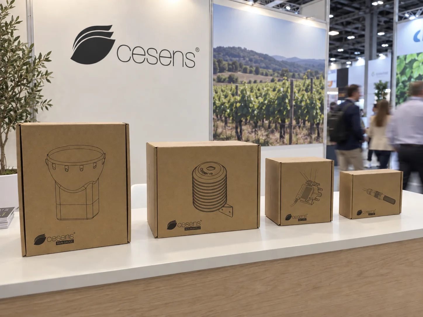 Las cuatro cajas de la línea Cesens alineadas en el expositor de una feria